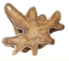 TAVOLINO RADICE TUTTO PIENO TEAK