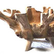 tavolo con radice di teak 